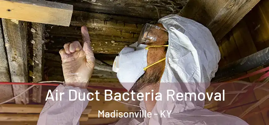  Air Duct Bacteria Removal Madisonville - KY