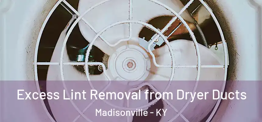  Excess Lint Removal from Dryer Ducts Madisonville - KY