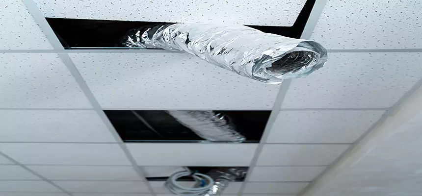 Our Air Duct Pet Hair Removal Services in Madisonville, KY