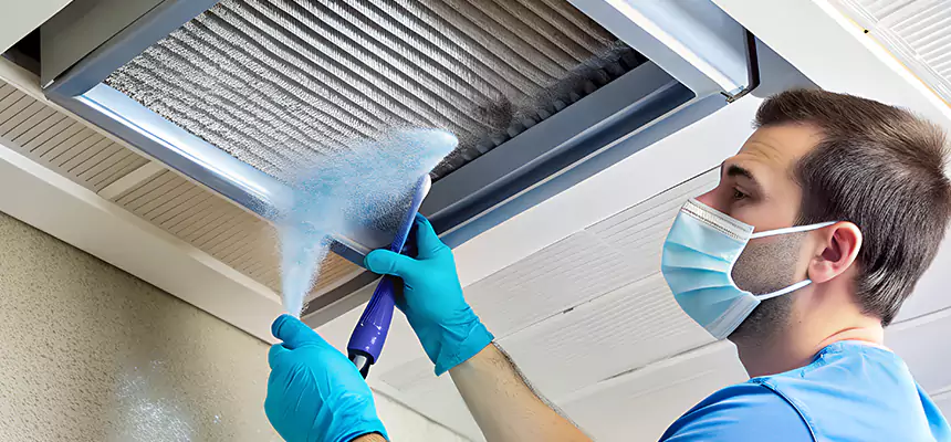 Proactive Dryer Vent & Auxiliary Duct Pollen Cleanup in Madisonville, KY