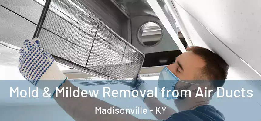  Mold & Mildew Removal from Air Ducts Madisonville - KY
