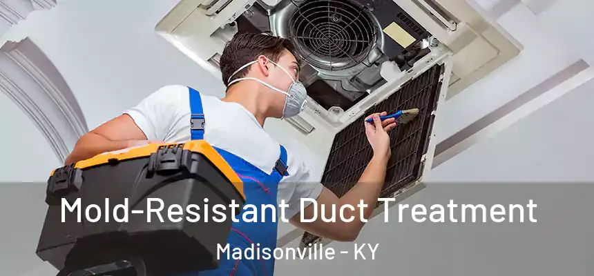  Mold-Resistant Duct Treatment Madisonville - KY