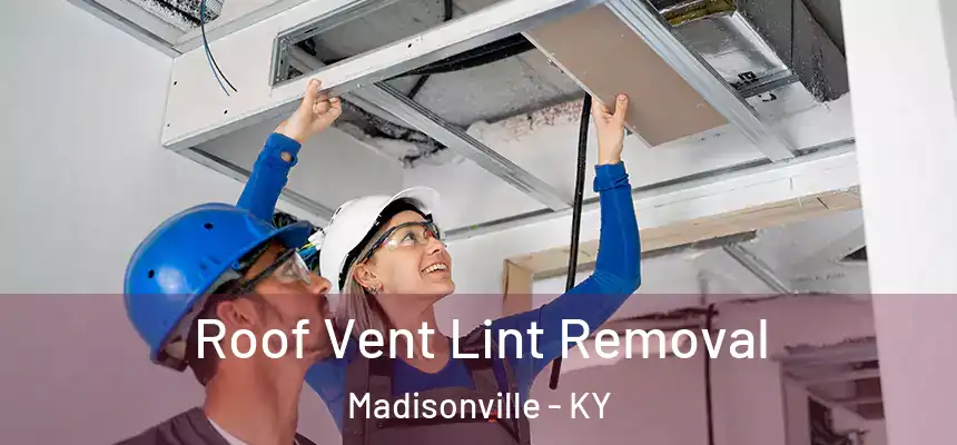 Roof Vent Lint Removal Madisonville - KY