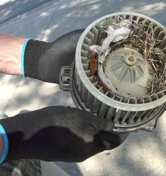 About Air Duct Rat Removal in Madisonville, KY