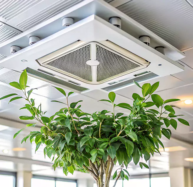 Why Homeowners & Businesses Trust Us in Madisonville, KY?