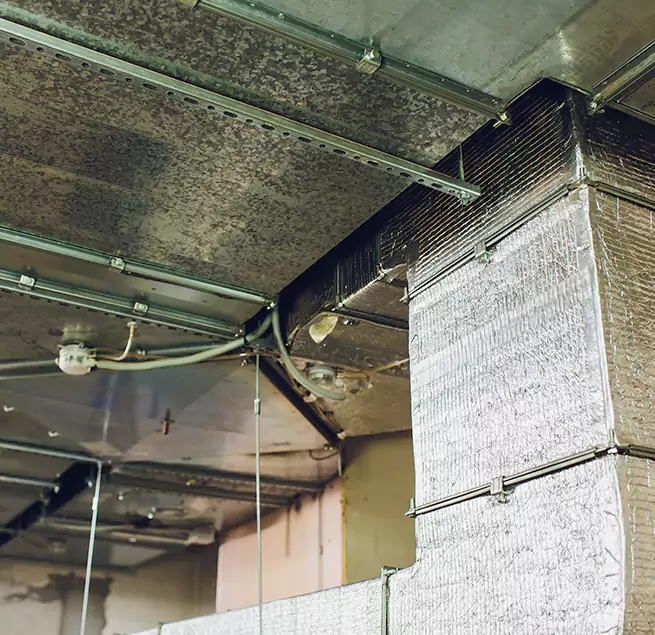 Why Homeowners & Businesses Trust Us in Madisonville, KY?